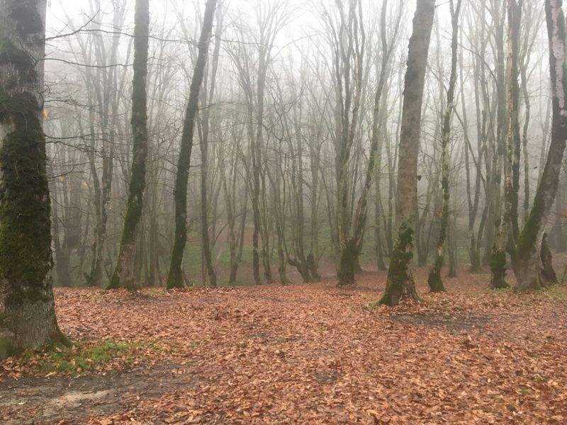 Nordskog Vandringer AS 10