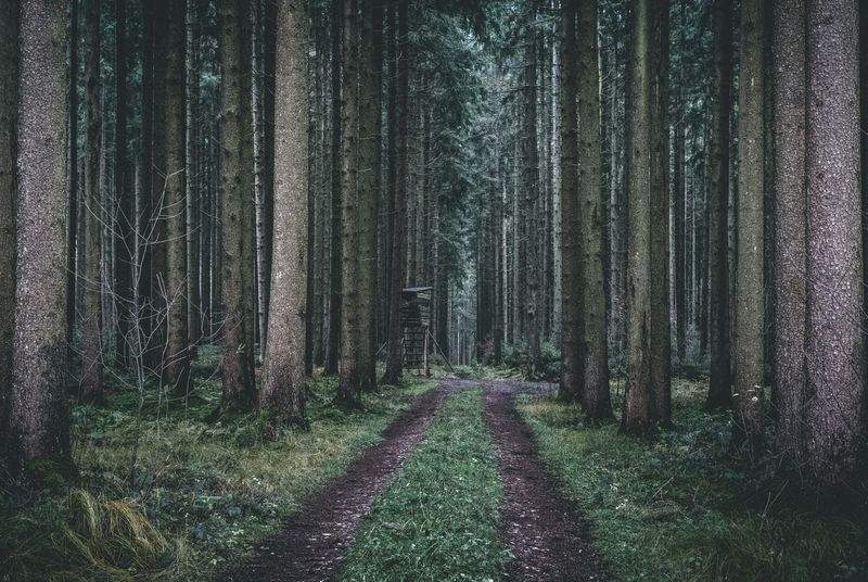 Nordskog Vandringer AS 11