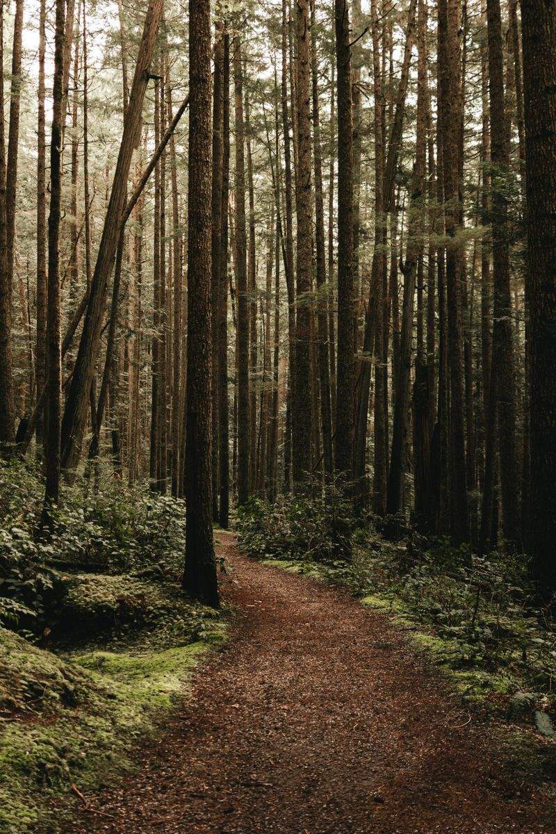 Nordskog Vandringer AS 12