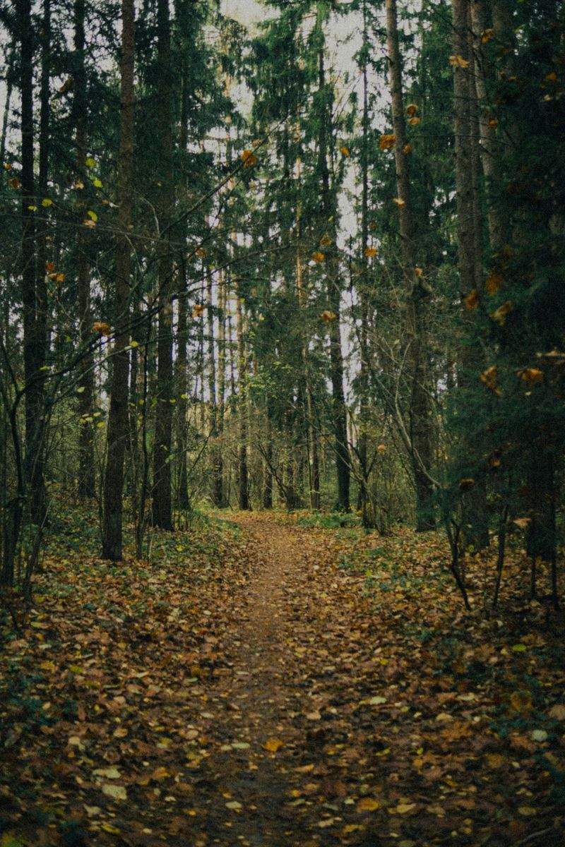 Nordskog Vandringer AS 13