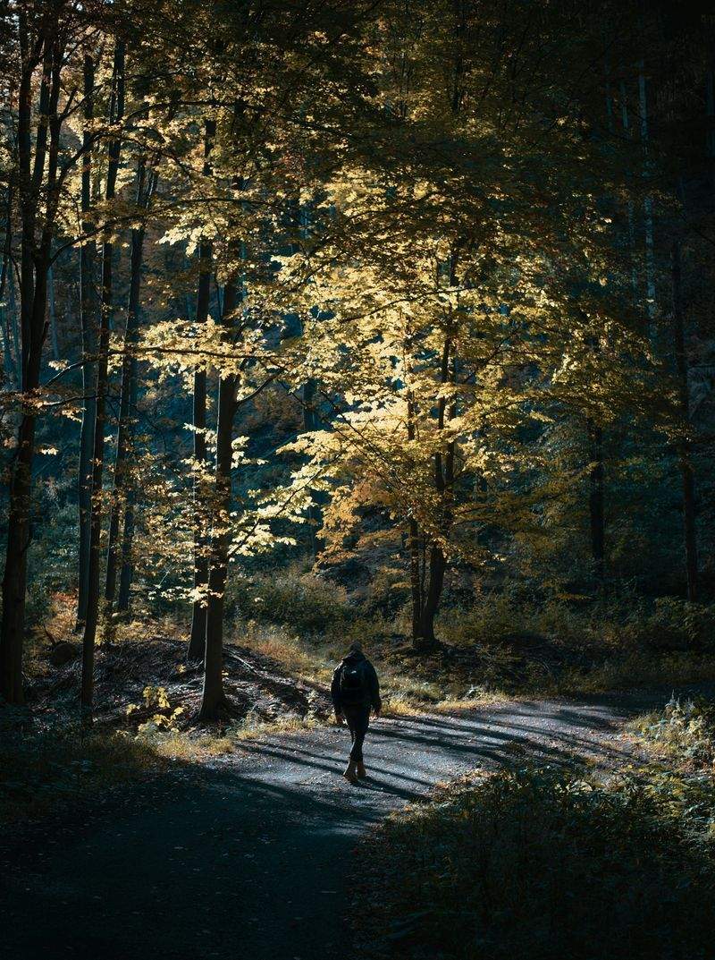 Nordskog Vandringer AS 14