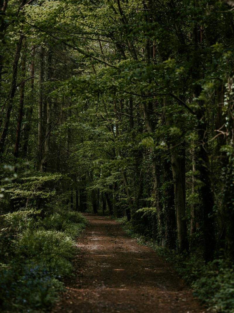 Nordskog Vandringer AS 15