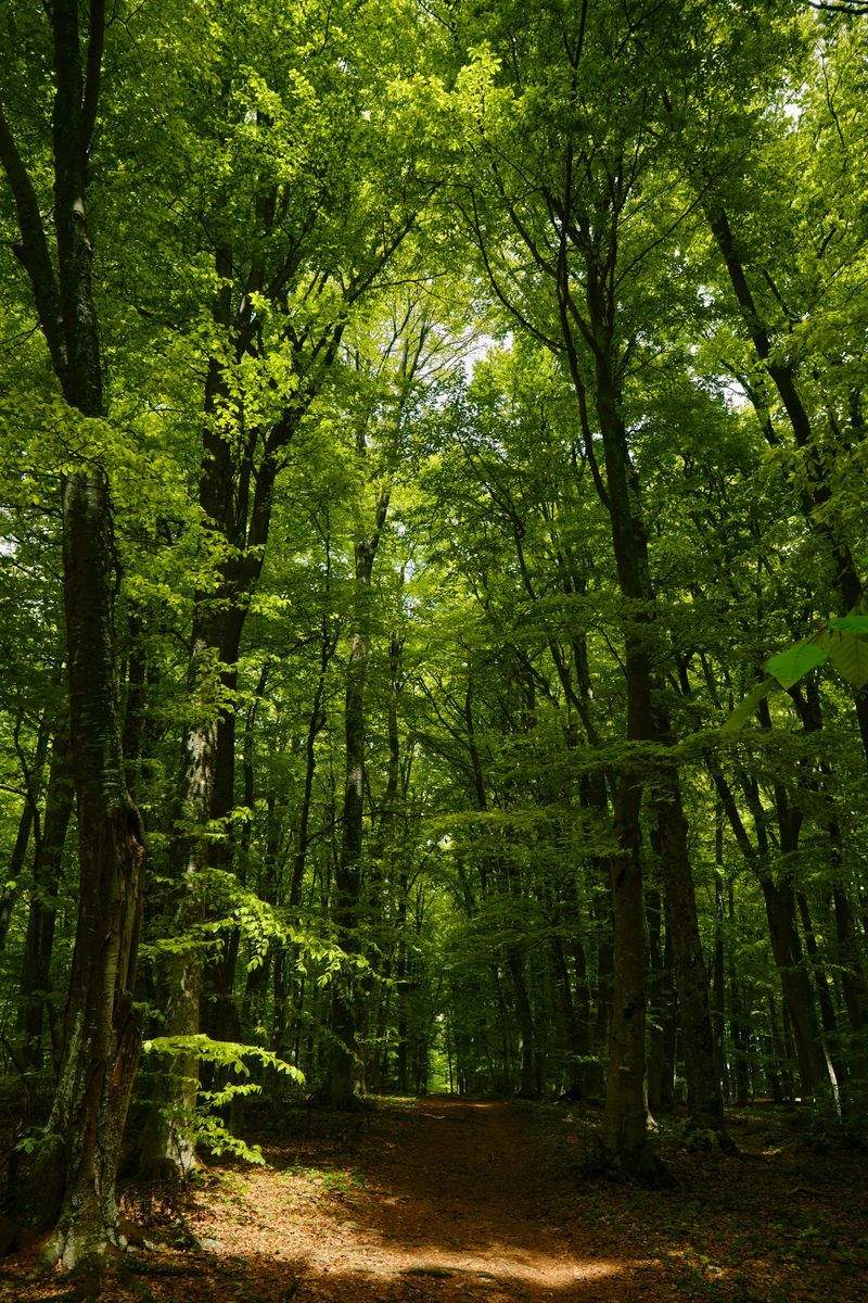 Nordskog Vandringer AS 2