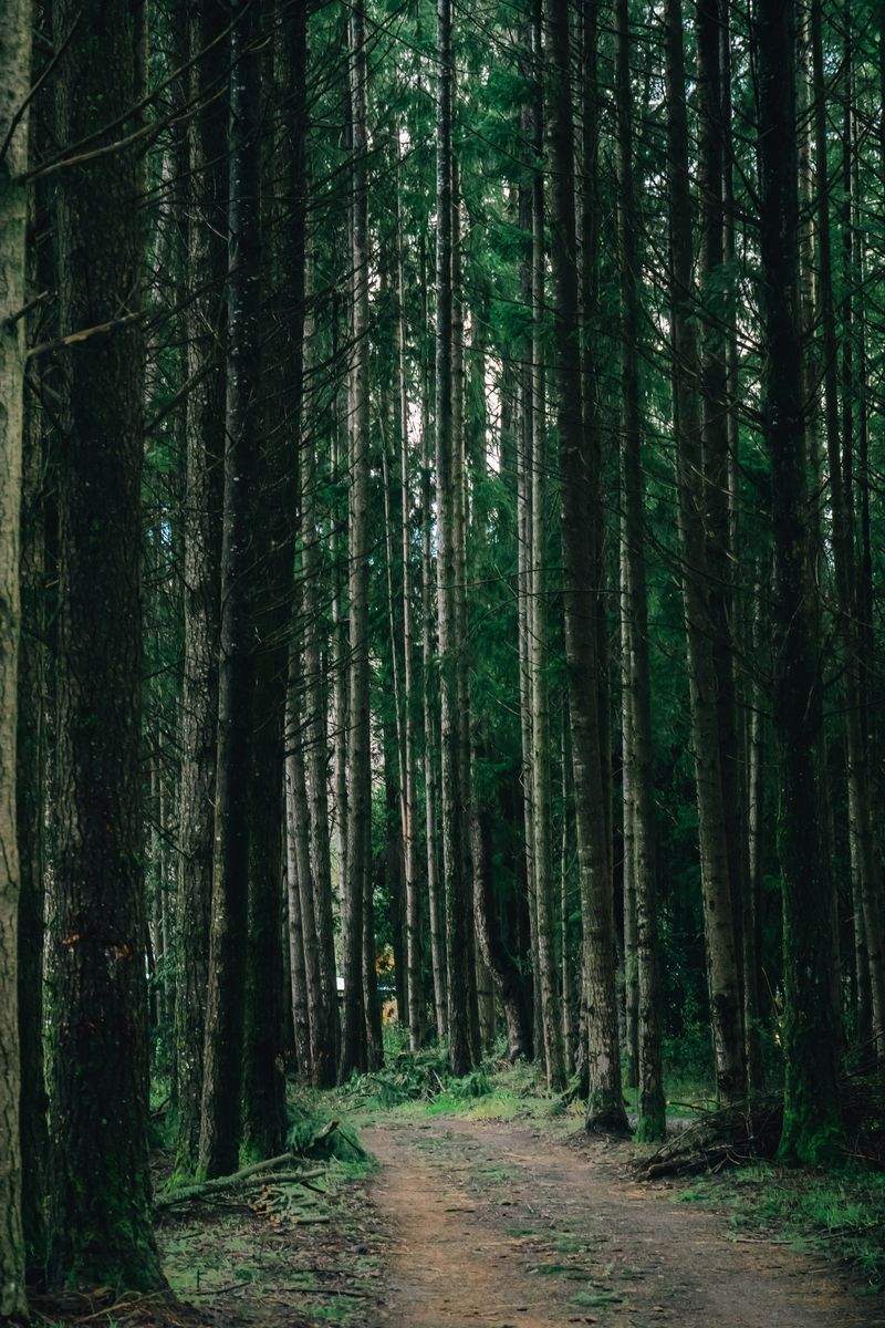 Nordskog Vandringer AS 3