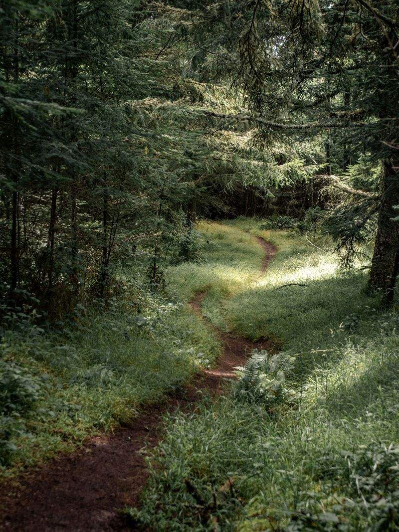 Nordskog Vandringer AS 4