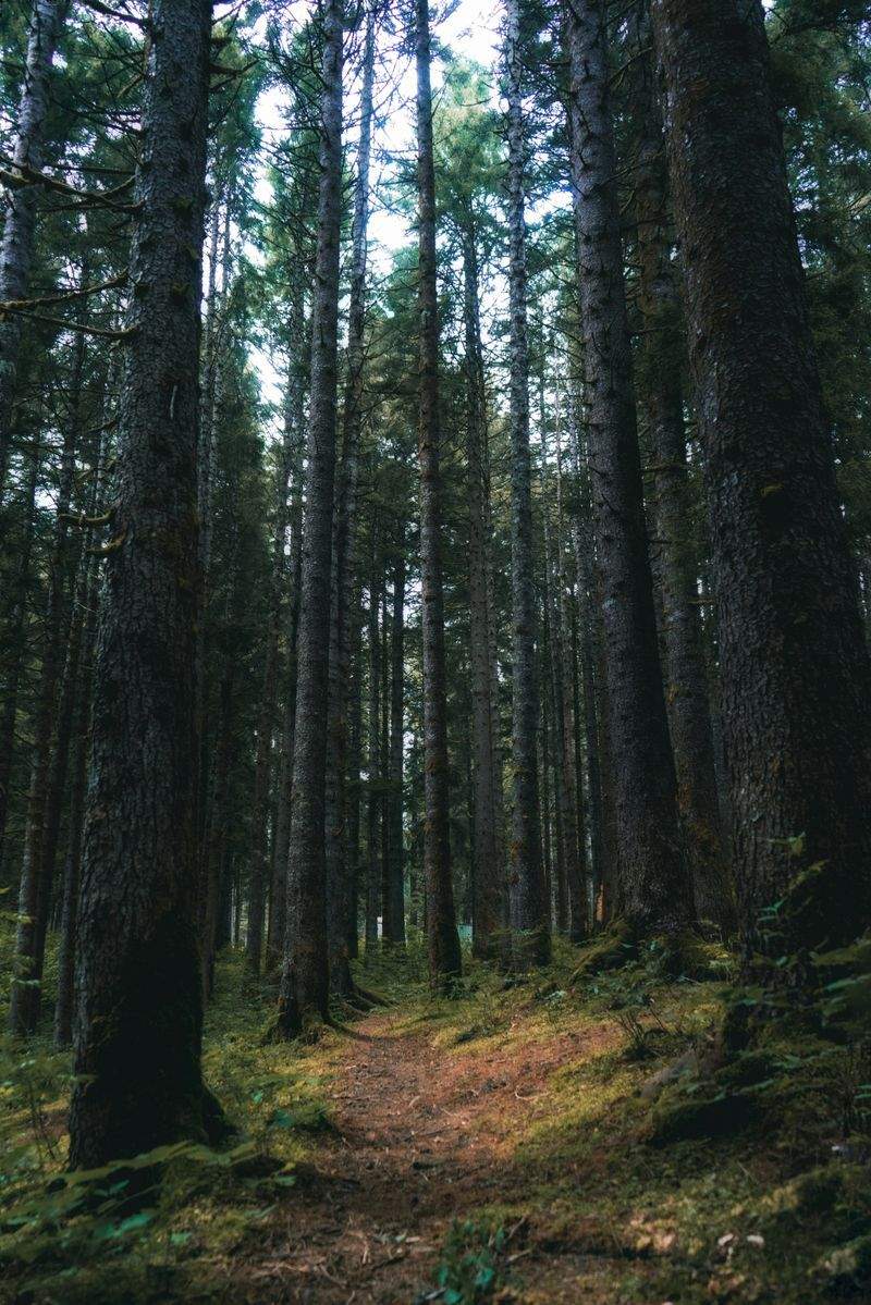 Nordskog Vandringer AS 5