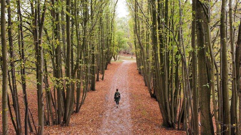 Nordskog Vandringer AS 6