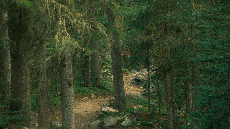 Nordskog Vandringer AS 7