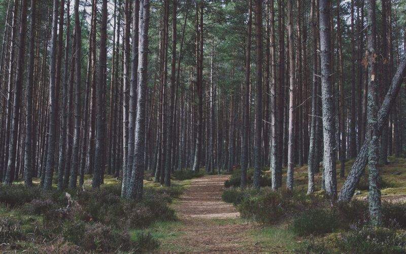 Nordskog Vandringer AS 8