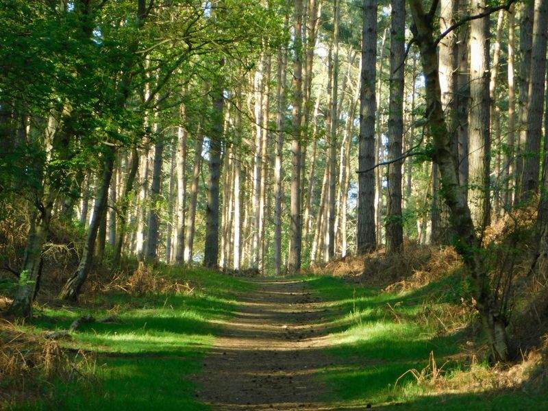 Nordskog Vandringer AS 9