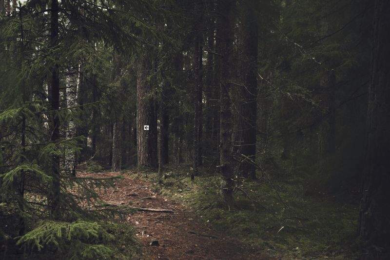 Nordskog Vandringer AS